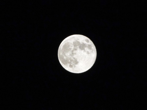 月がきれいでしたね。