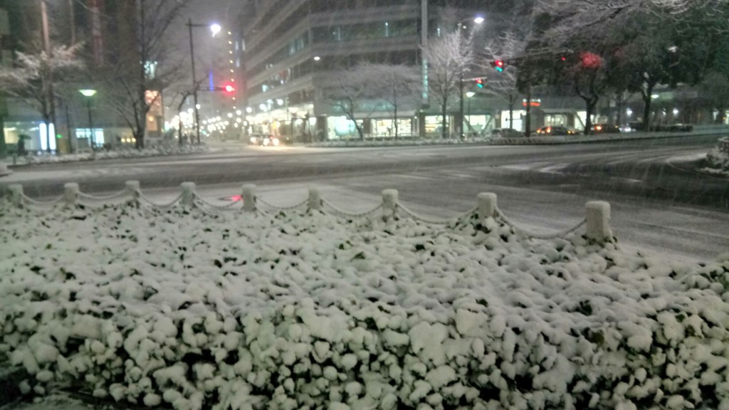 師匠との飲み会でした！