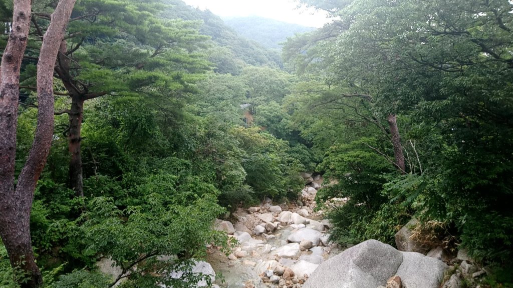 合宿に参加してきました～。